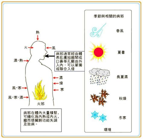 六邪|【中医小讲堂】邪伤六淫——风邪/寒邪/湿邪/燥邪/暑邪